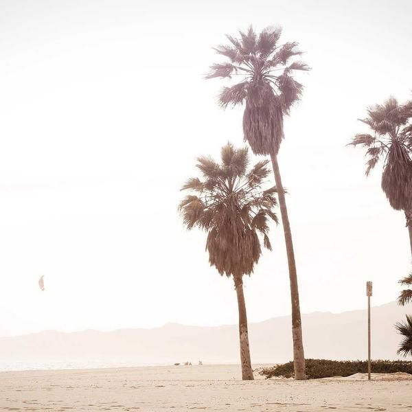 AMD Ryzen 5 5600X 6-Core 3.7GHz AM4