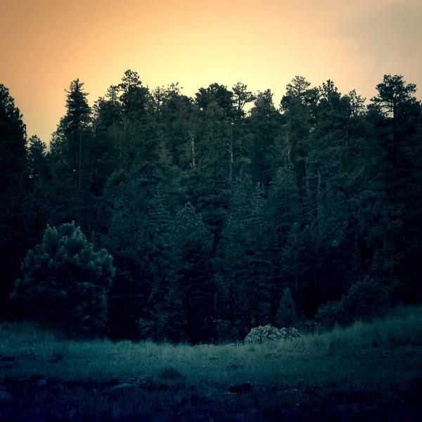 AMD Radeon RX 7900 XTX 24GB GDDR6