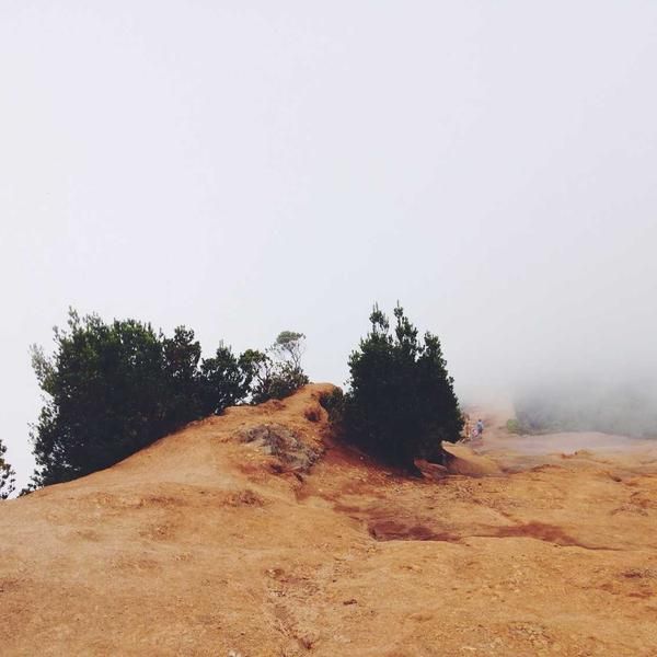 Fractal Design North Charcoal